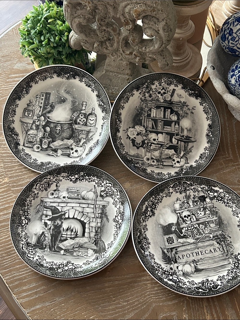 NEW! Shabby Chic Vintage Inspired Victorian Halloween Apothecary Skull Plate Set